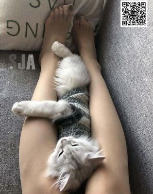 成人漫画视频_BD电视剧在线观看
