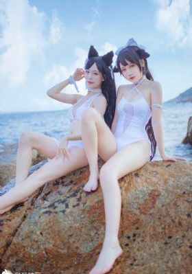 天天av网站_蓝光全集免费播放