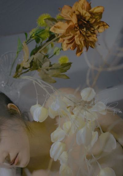 午夜港台福利写真片_BD韩语高清免费观看