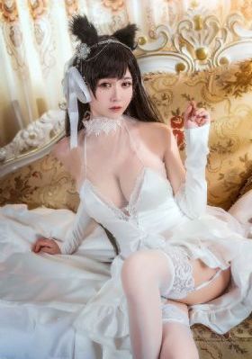 91免费在线观看_DVD完整版观看